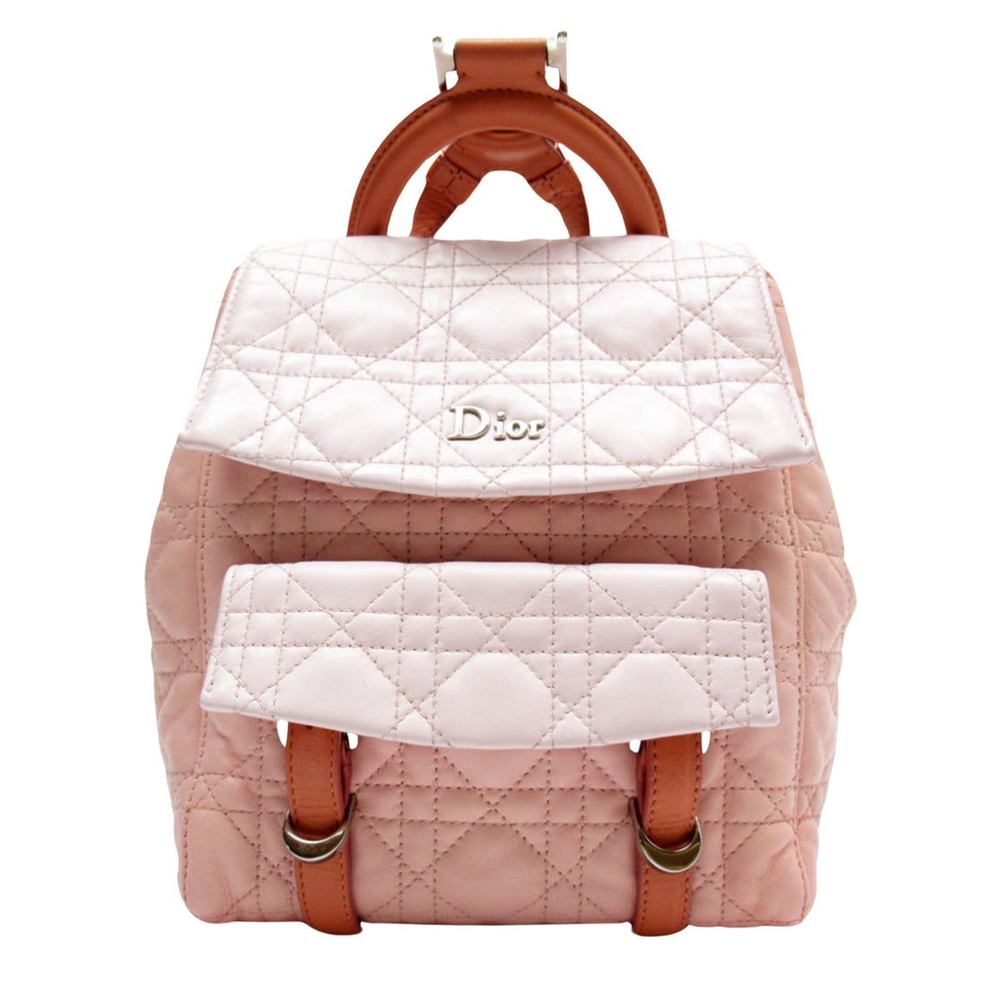 Dior Pink Leather Backpack Bag