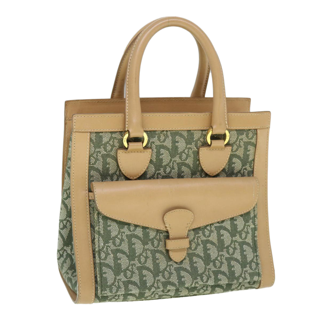 Dior Trotter Green Canvas Handbag 