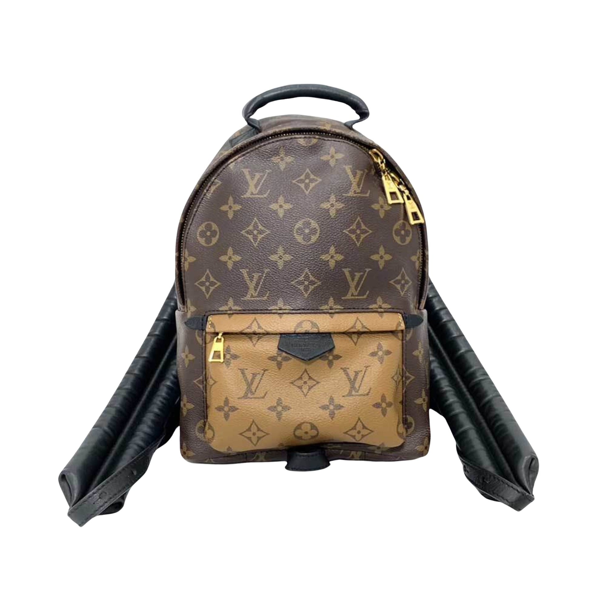 Louis Vuitton Palm Springs Brown Canvas Backpack Bag